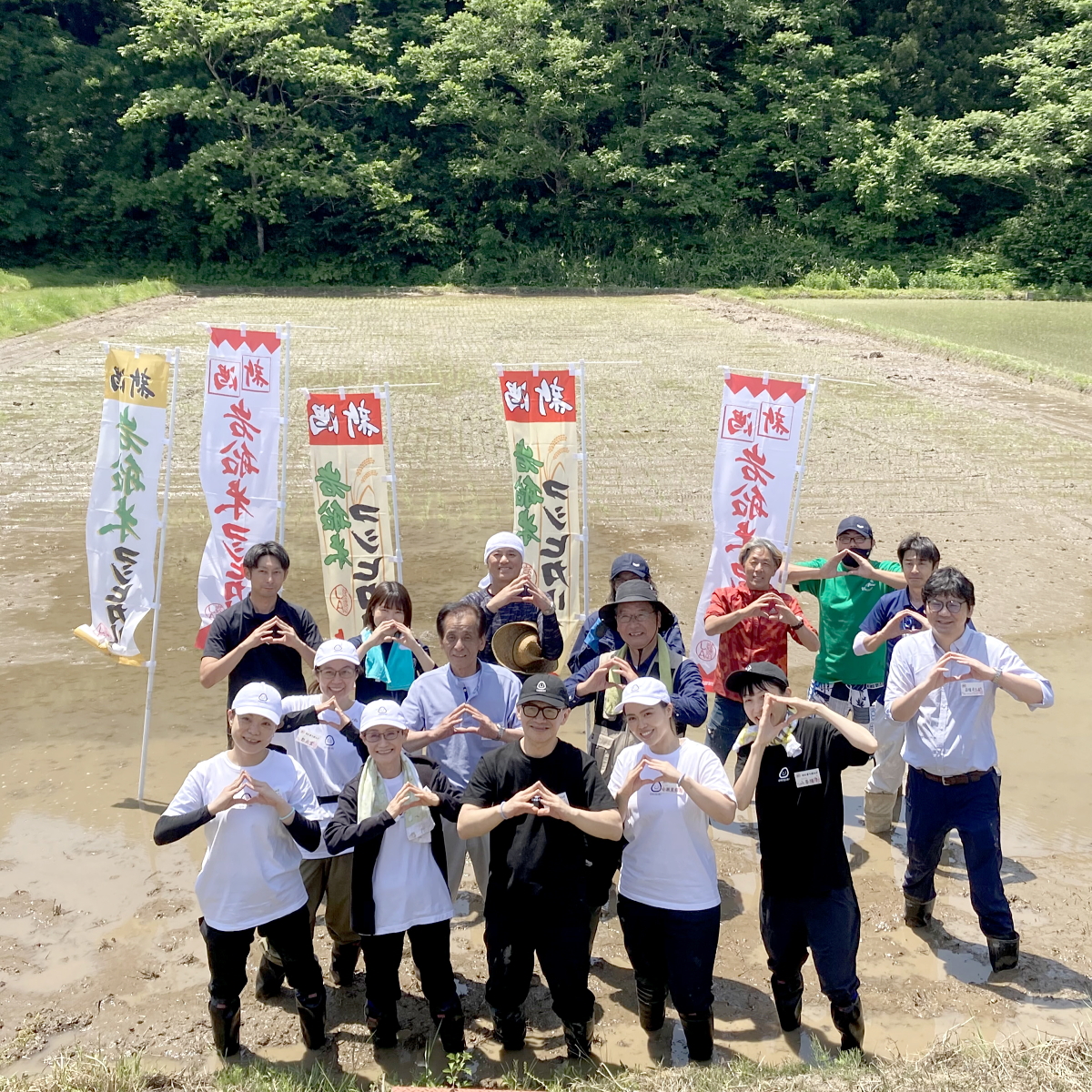 田植え体験 2024.5.26